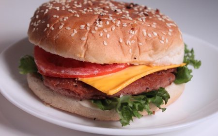 കൊഴുപ്പ് കൂടിയ ഭക്ഷണം സ്തനാർബുദ സാധ്യത കൂട്ടും; ട്യൂമർ വളർച്ചയ്ക്ക് പിന്നിൽ കൊഴുപ്പെന്ന് പരീക്ഷണം