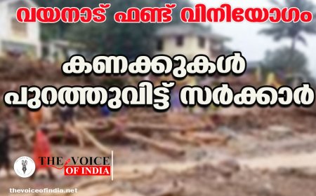 വയനാട് ഫണ്ട് വിനിയോഗം;കണക്കുകള്‍ പുറത്തുവിട്ട് സര്‍ക്കാര്‍