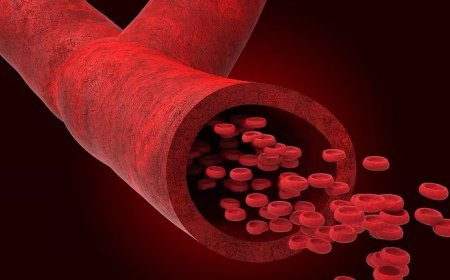 ഇന്ന് ലോക ഹീമോഫീലിയ ദിനം; രക്തം കട്ടപിടിക്കാത്ത ഈ പാരമ്പര്യ രോഗത്തെക്കുറിച്ച് അറിയേണ്ടതെല്ലാം