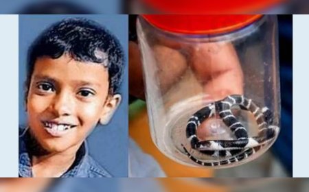 പാമ്പുകടിയേറ്റ അനോഷ് കണ്ണ് തുറന്നു; ആരോഗ്യനിലയിൽ പുരോഗതി