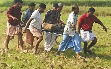 തൃശൂർ വെടിക്കെട്ട് പുരയിൽ ഉഗ്രസ്‌ഫോടനം; വിദഗ്ധ ചികിത്സ ഉറപ്പാക്കാൻ മുഖ്യമന്ത്രിയുടെ നിർദേശം