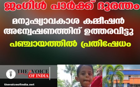 ജംഗിൾ പാർക്ക് ദുരന്തം: മനുഷ്യാവകാശ കമ്മീഷൻ അന്വേഷണത്തിന് ഉത്തരവിട്ടു; പഞ്ചായത്തിൽ പ്രതിഷേധം
