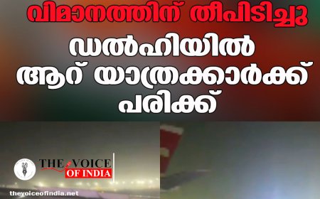 ടേക്ക് ഓഫിനിടെ വിമാനത്തിന് തീപിടിച്ചു; ഡൽഹിയിൽ ആറ് യാത്രക്കാർക്ക് പരിക്ക്