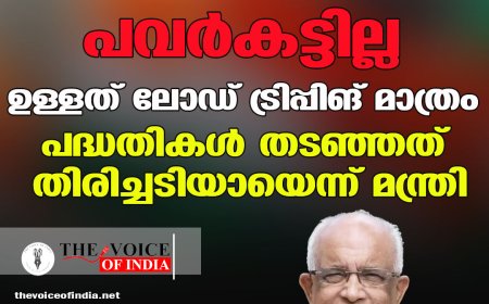 സംസ്ഥാനത്ത് പവർകട്ടില്ല, ഉള്ളത് ലോഡ് ട്രിപ്പിങ് മാത്രം; പദ്ധതികൾ തടഞ്ഞത് തിരിച്ചടിയായെന്ന് മന്ത്രി