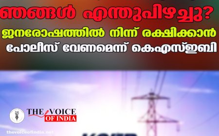 തനിയെ ട്രിപ്പാകുന്നു, ഞങ്ങള്‍ എന്തുപിഴച്ചു?  ജനരോഷത്തില്‍ നിന്ന് രക്ഷിക്കാന്‍  പോലീസ് വേണമെന്ന് കെഎസ്ഇബി.