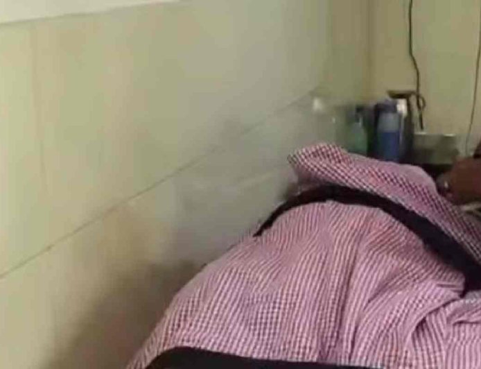 ഇടുക്കിയിൽ ഏലത്തോട്ടത്തിൽ കടന്നൽ ആക്രമണം; കർഷകൻ മരിച്ചു