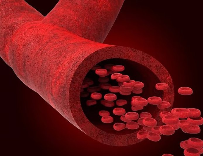 ഇന്ന് ലോക ഹീമോഫീലിയ ദിനം; രക്തം കട്ടപിടിക്കാത്ത ഈ പാരമ്പര്യ രോഗത്തെക്കുറിച്ച് അറിയേണ്ടതെല്ലാം