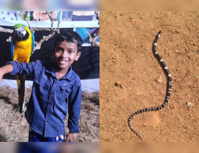 തൃശൂരിൽ ഉറങ്ങിക്കിടന്ന സഹോദരങ്ങൾക്ക് പാമ്പുകടിയേറ്റു; എട്ട് വയസുകാരൻ മരിച്ചു