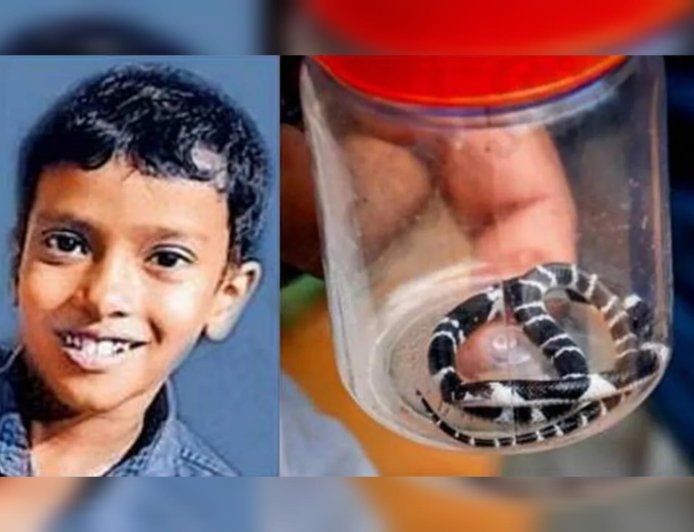 പാമ്പുകടിയേറ്റ അനോഷ് കണ്ണ് തുറന്നു; ആരോഗ്യനിലയിൽ പുരോഗതി