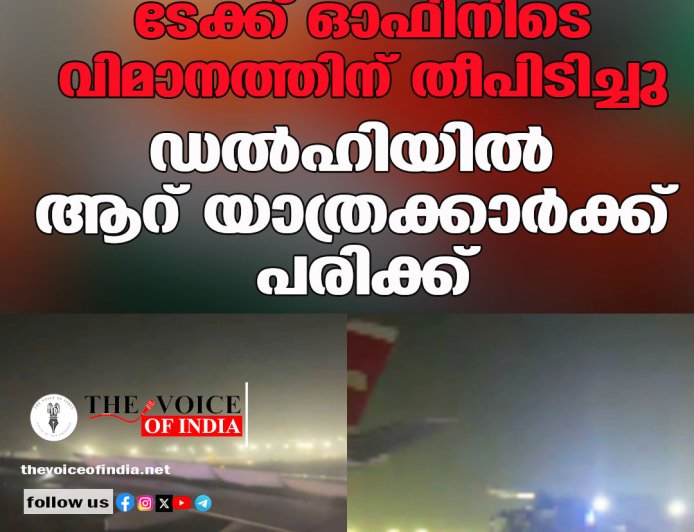 ടേക്ക് ഓഫിനിടെ വിമാനത്തിന് തീപിടിച്ചു; ഡൽഹിയിൽ ആറ് യാത്രക്കാർക്ക് പരിക്ക്