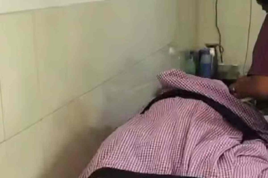 ഇടുക്കിയിൽ ഏലത്തോട്ടത്തിൽ കടന്നൽ ആക്രമണം; കർഷകൻ മരിച്ചു