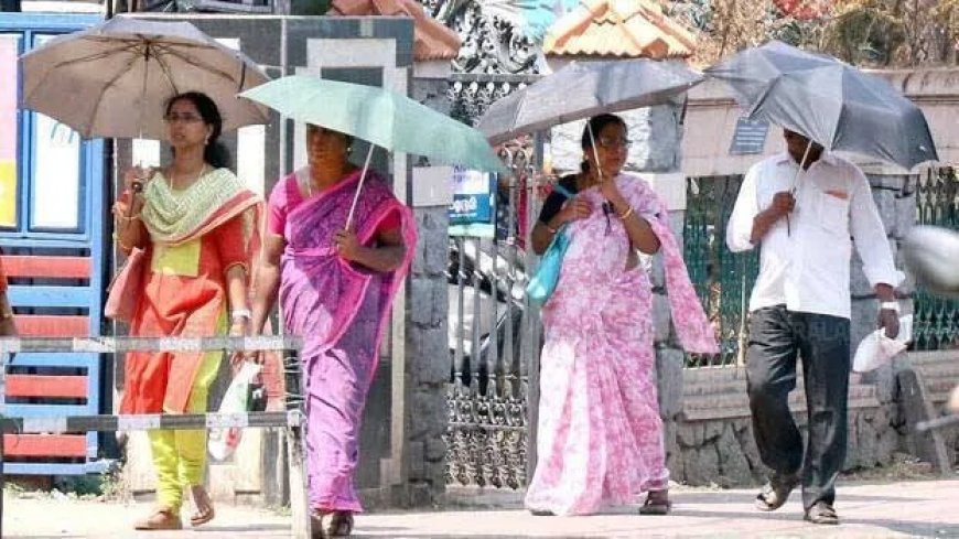 കേരളത്തിൽ തിങ്കളാഴ്ച വരെ കടുത്ത ചൂട് തുടരും; 12 ജില്ലകളിൽ ജാഗ്രതാ നിർദ്ദേശം; പാലക്കാട് താപനില 40 ഡിഗ്രിയിലേക്ക്