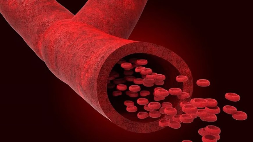 ഇന്ന് ലോക ഹീമോഫീലിയ ദിനം; രക്തം കട്ടപിടിക്കാത്ത ഈ പാരമ്പര്യ രോഗത്തെക്കുറിച്ച് അറിയേണ്ടതെല്ലാം