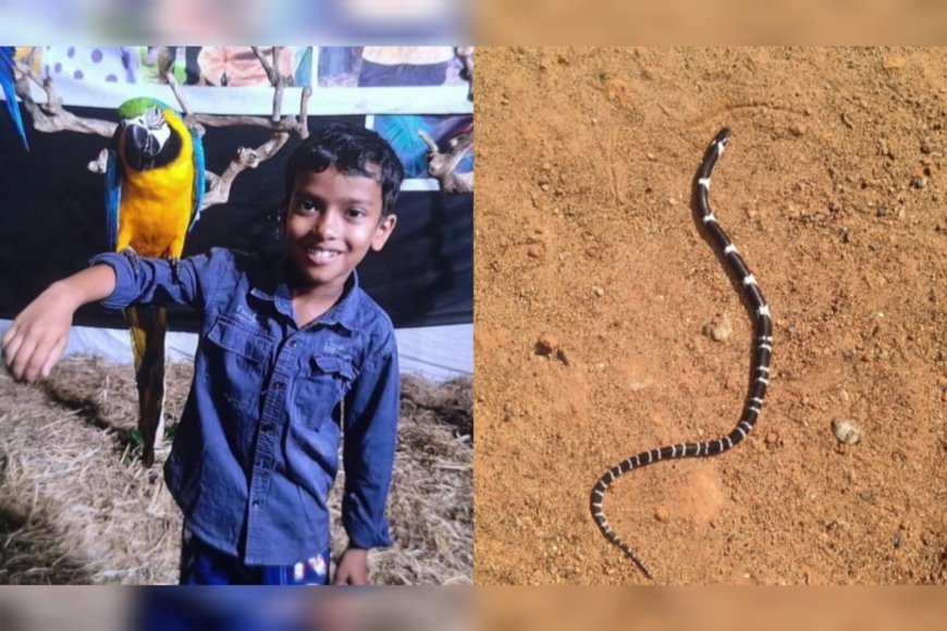 തൃശൂരിൽ ഉറങ്ങിക്കിടന്ന സഹോദരങ്ങൾക്ക് പാമ്പുകടിയേറ്റു; എട്ട് വയസുകാരൻ മരിച്ചു