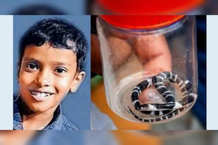 പാമ്പുകടിയേറ്റ അനോഷ് കണ്ണ് തുറന്നു; ആരോഗ്യനിലയിൽ പുരോഗതി