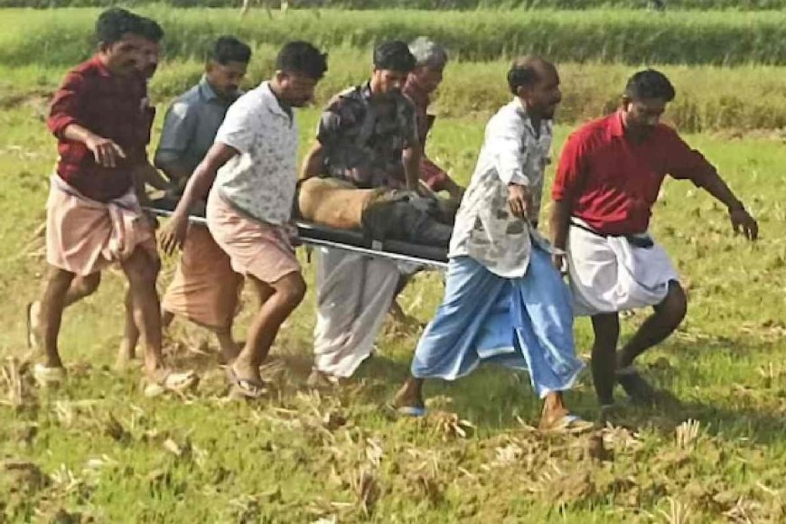 തൃശൂർ വെടിക്കെട്ട് പുരയിൽ ഉഗ്രസ്‌ഫോടനം; വിദഗ്ധ ചികിത്സ ഉറപ്പാക്കാൻ മുഖ്യമന്ത്രിയുടെ നിർദേശം