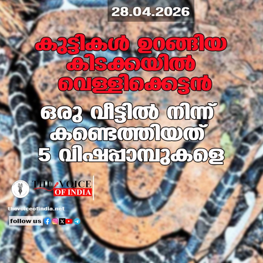 കുട്ടികള്‍ ഉറങ്ങിയ കിടക്കയില്‍ വെള്ളിക്കെട്ടന്‍;  ഒരു വീട്ടില്‍ നിന്ന് കണ്ടെത്തിയത് 5 വിഷപ്പാമ്പുകളെ