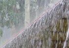കേരളത്തിൽ മഴ തുടരുന്നു: വരും ദിവസങ്ങളിൽ വിവിധ ജില്ലകളിൽ യെല്ലോ അലേർട്ട്