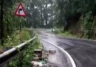 മാക്കൂട്ടം ചുരത്തിൽ കാർ കൊക്കയിലേക്ക് മറിഞ്ഞ് മരണം; സുരക്ഷാ വീഴ്ചകൾ വീണ്ടും ചർച്ചയാകുന്നു