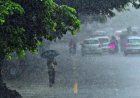 മഴ കനക്കും: ഇന്ന് ആറ് ജില്ലകളിൽ യെല്ലോ അലേർട്ട് പ്രഖ്യാപിച്ചു