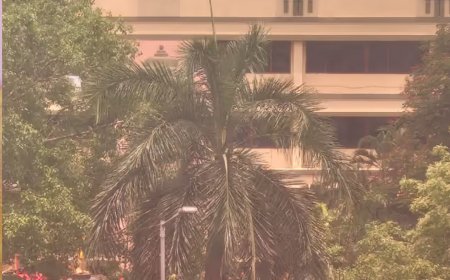 അണ്ണാ അറിവാലയത്തിൽ നിശബ്ദത; തമിഴകത്ത് വിജയ് തരംഗം, ഡിഎംകെ ആസ്ഥാനം വിജനം