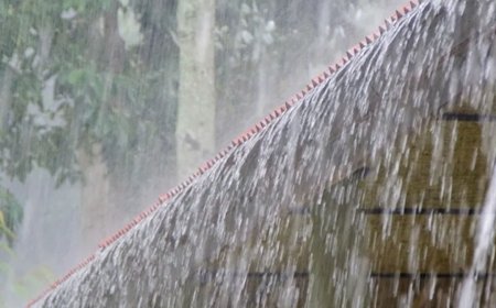കേരളത്തിൽ മഴ തുടരുന്നു: വരും ദിവസങ്ങളിൽ വിവിധ ജില്ലകളിൽ യെല്ലോ അലേർട്ട്