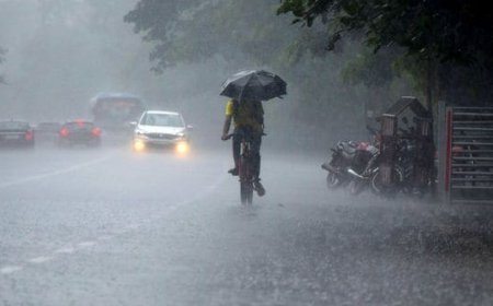 മഴ കനക്കുന്നു: കേരളത്തിൽ ഇന്ന് ഏഴ് ജില്ലകളിൽ യെല്ലോ അലർട്ട് പ്രഖ്യാപിച്ചു