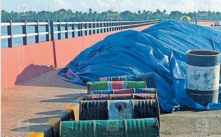 ഉദ്ഘാടനം കഴിഞ്ഞ് രണ്ടു മാസം; പെരുമ്പളം പാലത്തിൽ ടാറിങ് നിലച്ചു, തെരുവുവിളക്കുകളില്ല; പ്രഖ്യാപിച്ച കെഎസ്ആർടിസി ബസും മുങ്ങി, അവഗണനയെന്ന് പരാതി!