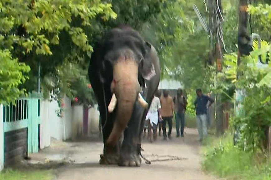 തൃശ്ശൂര്‍ നഗര മധ്യത്തിൽ ആനയിടഞ്ഞ് പരിഭ്രാന്തി