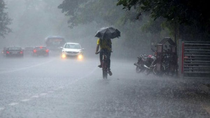 മഴ കനക്കുന്നു: കേരളത്തിൽ ഇന്ന് ഏഴ് ജില്ലകളിൽ യെല്ലോ അലർട്ട് പ്രഖ്യാപിച്ചു