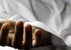 എറണാകുളത്ത് ആശങ്ക: പനി ബാധിച്ച് മരിച്ച വൃദ്ധന് വെസ്റ്റ് നൈൽ വൈറസ് ബാധിച്ചതായി സംശയം