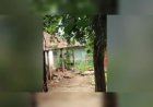 പാലക്കാട്ട് അച്ഛന്റെ ക്രൂരത; മകളെ മർദിച്ച കേസിൽ പോലീസ് കസ്റ്റഡിയിൽ