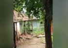 പാലക്കാട് മീനാക്ഷിപുരത്ത് മകളെ ക്രൂരമായി മർദിച്ച പിതാവ് കസ്റ്റഡിയിൽ; കുട്ടിയെ ഷെൽട്ടർ ഹോമിലേക്ക് മാറ്റി