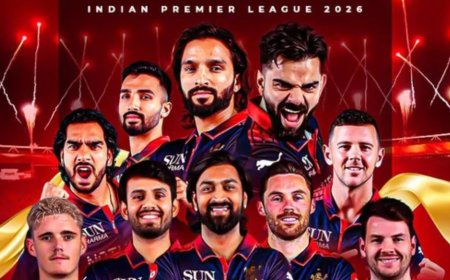 ബെംഗളൂരുവിന്റെ കിരീടവേട്ട; തുടർച്ചയായ രണ്ടാം തവണയും ഐപിഎൽ ചാമ്പ്യന്മാരായി ആർസിബി