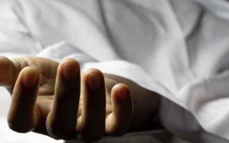 എറണാകുളത്ത് ആശങ്ക: പനി ബാധിച്ച് മരിച്ച വൃദ്ധന് വെസ്റ്റ് നൈൽ വൈറസ് ബാധിച്ചതായി സംശയം