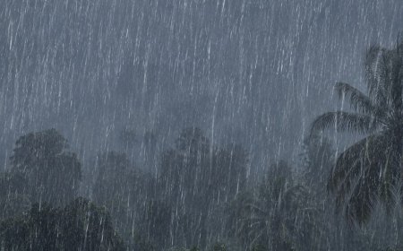 തിരുവനന്തപുരം ജാഗ്രതയിൽ; അതിശക്ത മഴയും കാറ്റും, ഓറഞ്ച് അലർട്ട് പ്രഖ്യാപിച്ചു