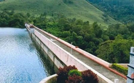 മുല്ലപ്പെരിയാർ വിദഗ്ധ സമിതിയിലേക്ക് പുതിയ പ്രതിനിധിയെ നാമനിർദേശം ചെയ്യാൻ കേരളത്തിന് ദേശീയ അണക്കെട്ട് സുരക്ഷാ അതോറിറ്റിയുടെ നിർദേശം