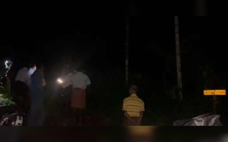 വിലങ്ങാട് വനത്തിൽ ആളുകൾ കുടുങ്ങിയെന്ന് സംശയം; ടോർച്ച് വെളിച്ചവും ശബ്ദവും, തിരച്ചിൽ ആരംഭിച്ചു