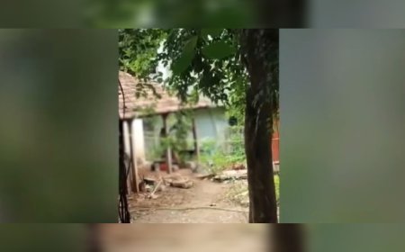 പാലക്കാട്ട് അച്ഛന്റെ ക്രൂരത; മകളെ മർദിച്ച കേസിൽ പോലീസ് കസ്റ്റഡിയിൽ