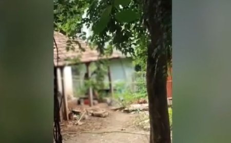 പാലക്കാട് മീനാക്ഷിപുരത്ത് മകളെ ക്രൂരമായി മർദിച്ച പിതാവ് കസ്റ്റഡിയിൽ; കുട്ടിയെ ഷെൽട്ടർ ഹോമിലേക്ക് മാറ്റി