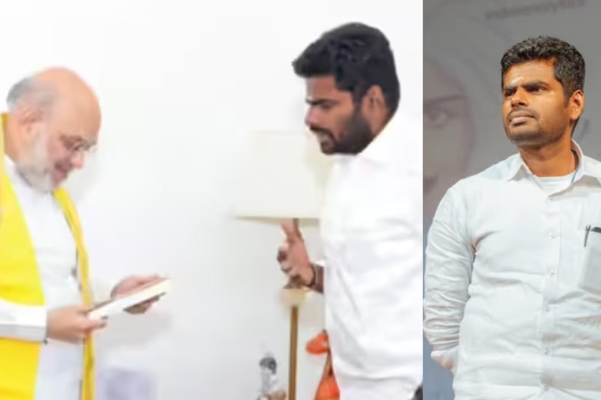 ട്വീറ്റിൽ ബിജെപിക്ക് 'വിലക്ക്'; മോദിയെ കാണാതെ ദില്ലിയിൽ നിന്നും മടക്കം! തമിഴ്‌നാട് സിങ്കം അണ്ണാമലൈ കാവിപ്പട വിടുന്നു?! നാളെ ഉച്ചയ്ക്ക് വൻ പ്രഖ്യാപനം!