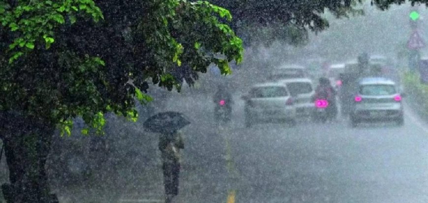 മഴക്കെടുതിക്ക് സാധ്യത ഉയരുന്നു; സംസ്ഥാനത്തെ ഏഴ് ജില്ലകളില്‍ ഓറഞ്ച് അലേര്‍ട്ട്