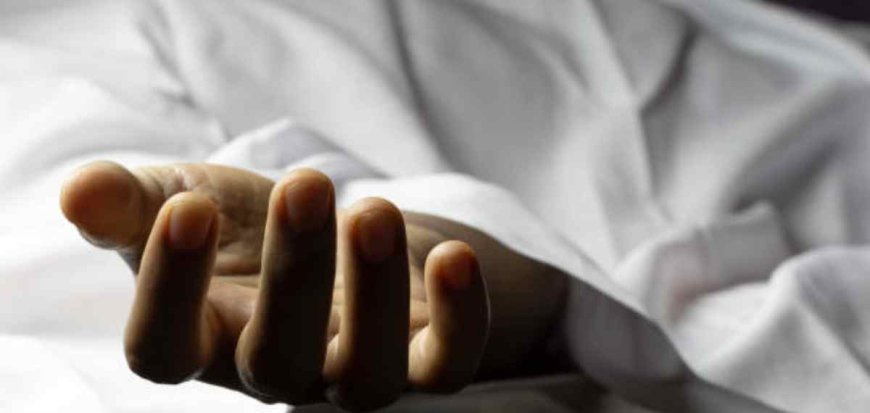 എറണാകുളത്ത് ആശങ്ക: പനി ബാധിച്ച് മരിച്ച വൃദ്ധന് വെസ്റ്റ് നൈൽ വൈറസ് ബാധിച്ചതായി സംശയം