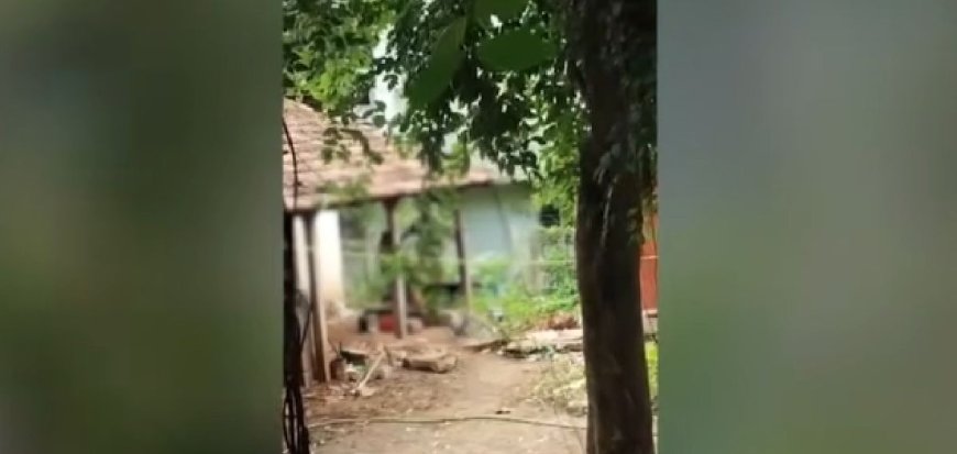 പാലക്കാട് മീനാക്ഷിപുരത്ത് മകളെ ക്രൂരമായി മർദിച്ച പിതാവ് കസ്റ്റഡിയിൽ; കുട്ടിയെ ഷെൽട്ടർ ഹോമിലേക്ക് മാറ്റി