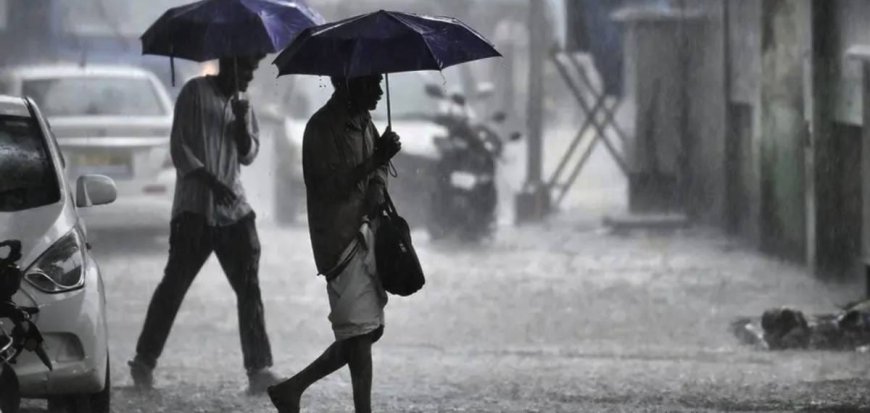സംസ്ഥാനത്ത് ഇന്നും ശക്തമായ മഴ; അഞ്ച് ജില്ലകളില്‍ യെല്ലോ അലര്‍ട്ട്, കടലില്‍ പോകരുതെന്ന് മുന്നറിയിപ്പ്